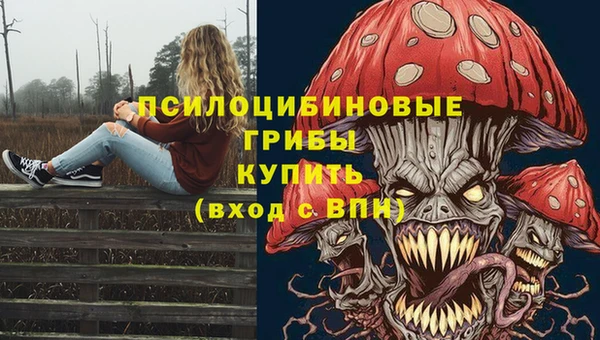 бошки Алексеевка
