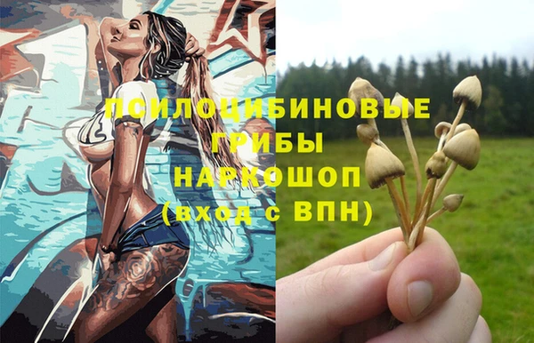 бошки Алексеевка