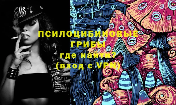 бошки Алексеевка