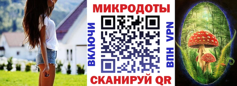 Псилоцибиновые грибы мицелий Александров